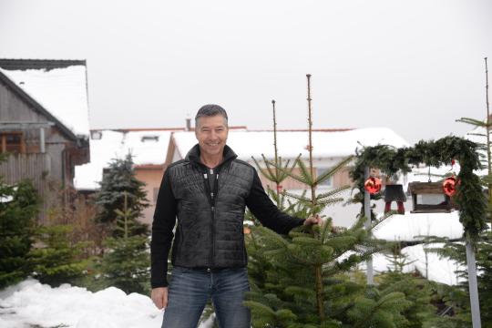 TIP Christbaumschlagen