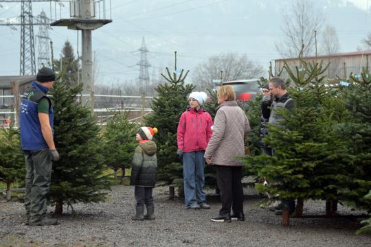 Christbaumschlagen 2022