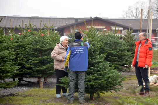 Christbaumschlagen 2022