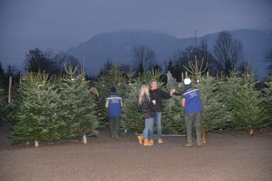 Christbaumschlagen 2022