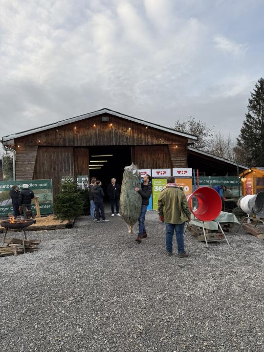 Christbaumschlagen