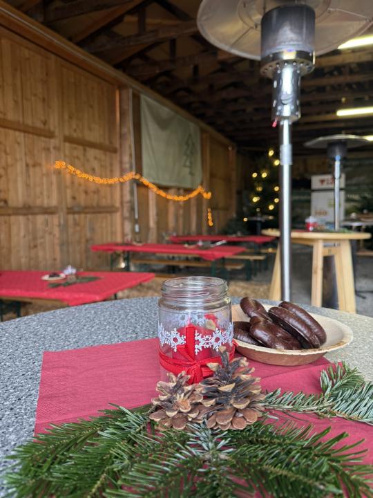 Christbaumschlagen