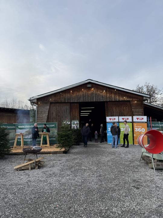 Christbaumschlagen