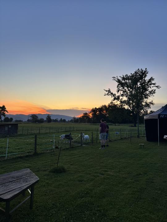 Sommerfest 2026